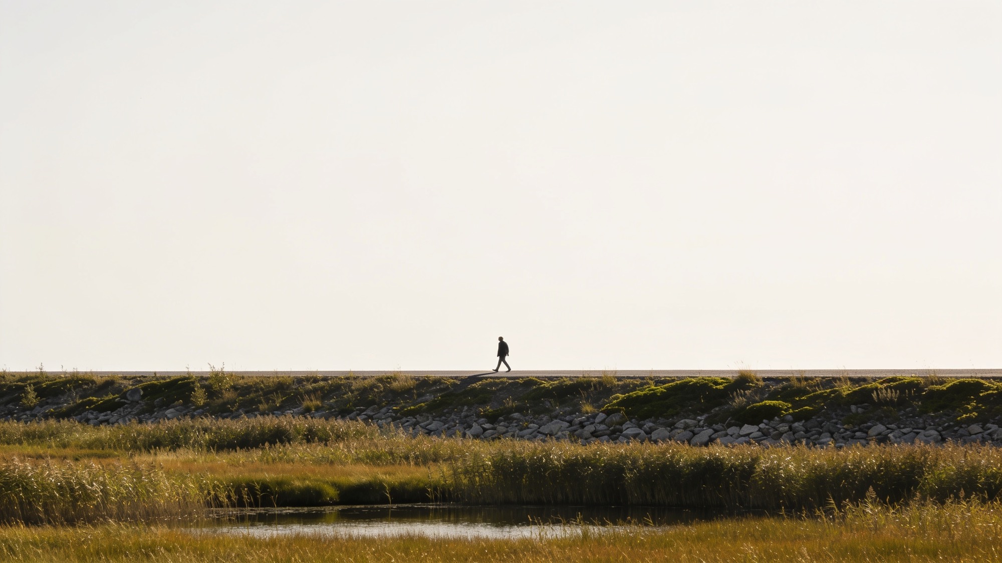 One walker on a wide path